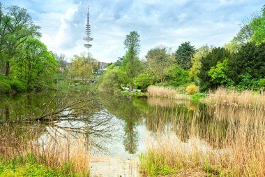 İngilizce 'de Hamburg şehir parkı Planten un Blomen, Bitkiler ve Çiçekler. Gölet mavi gökyüzü ve beyaz bulutların yansımaları, göletteki düşen ağaç. Arkaplanda TV kulesi. 