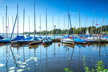 Hamburg, Almanya 'da güneşli bir yaz gününde birçok yelkenli teknesi nehirde yüzüyor. Yelkenli teknelerin ve nilüferlerin yansıması.