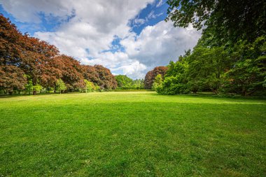 Güneşli bir günde taze biçilmiş çimlerin, ağaçların ve çalıların manzarası..