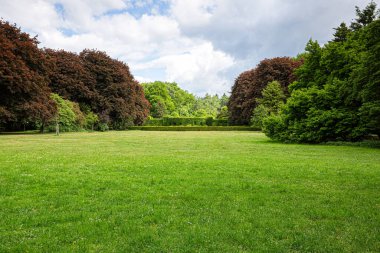 Taze biçilmiş çimlerin, ağaçların ve çalıların manzarası.