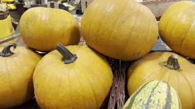 Olgun balkabakları görüntüleri kapatır, yavaş çekim, 4k çözünürlük.