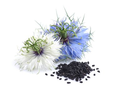 Yakından tohumlu siyah kimyon çiçekleri.