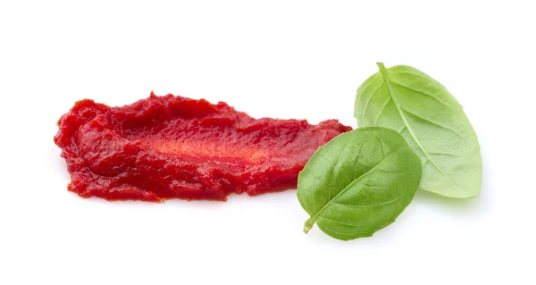 Tomatoes Sauce Basil Leaves Closeup — Stock Photo, Image