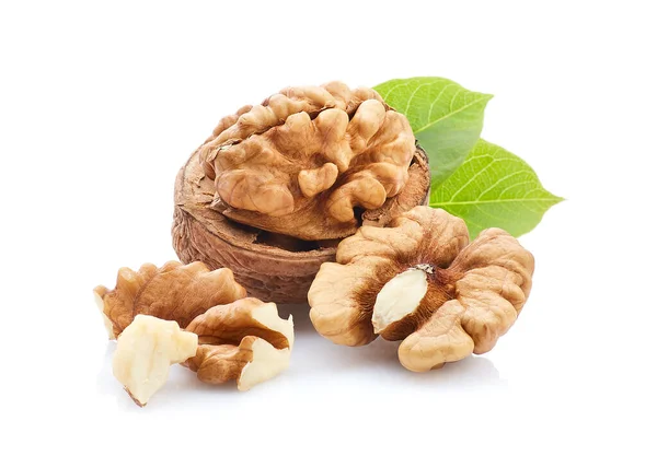 Walnuts Leaves White Background — Stock Photo, Image