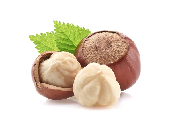 Hazelnuts Closeup Leaf — Stock Photo, Image