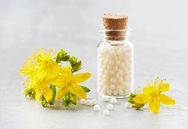 Homeopatia Medicina Ecológica Hipericum Grânulos Com Planta Mosto John Imagem De Stock
