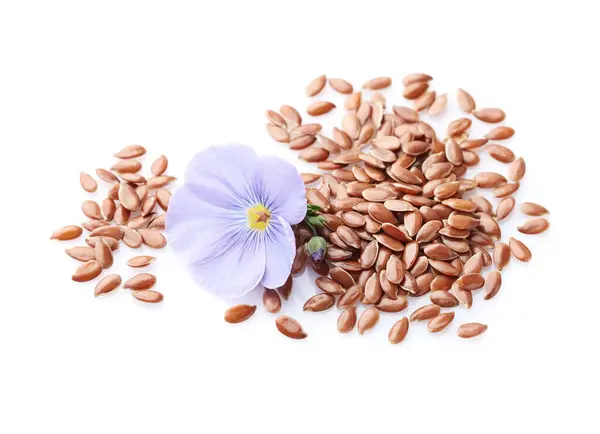 Flax Seeds Wuth Flower White Background — Stock Photo, Image