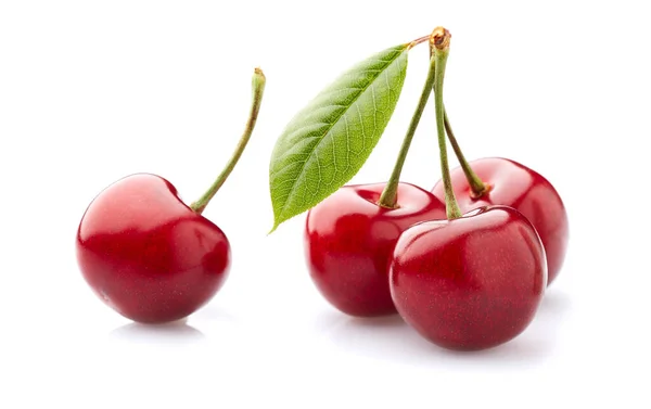 Cherries Isolated White Background Stock Image