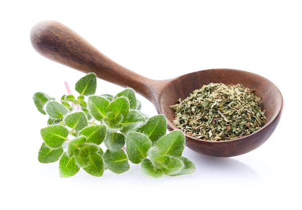 Oregano twigs with dry oregano in wooden spoon on white background