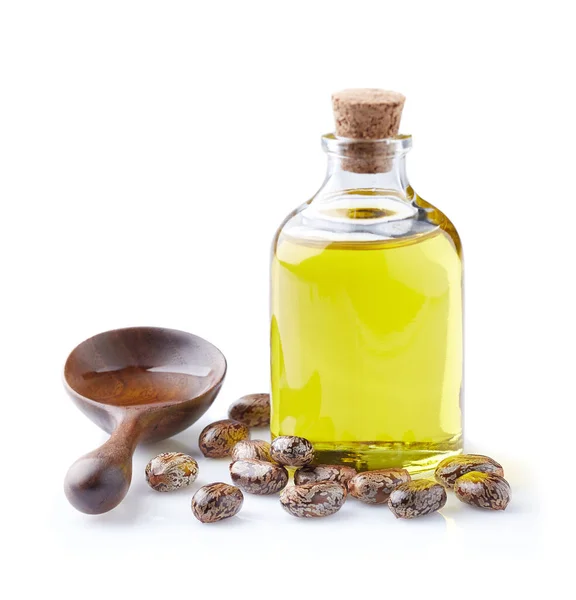 Castor Oil Seeds White Background Royalty Free Stock Images