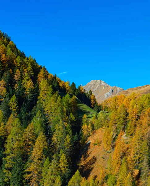 Oostenrijkse Alpen Landschap Met Bos Maan Bergtoppen — Stockfoto