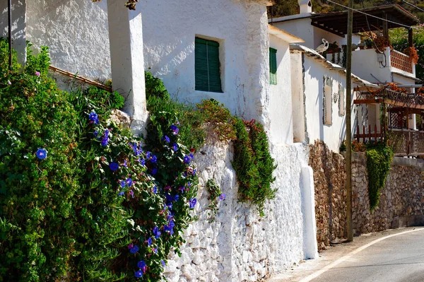 Traditionele Mediterrane Architectuur Muur Bedekt Met Ochtendglorie Bloemen Zonwering Witte — Stockfoto