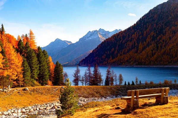 湖の絵のように美しい場所でベンチは 背景に山の景色 秋の黄金の森 スプルースや岩のピークを楽しむ — ストック写真