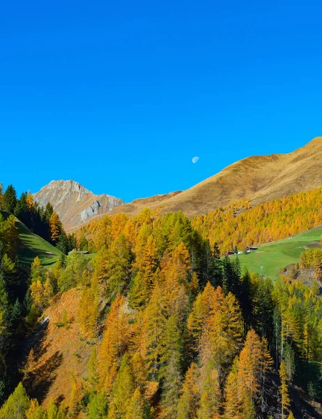 Austrian Alps Landscape Forest Moon Mountains Peaks — Foto Stock