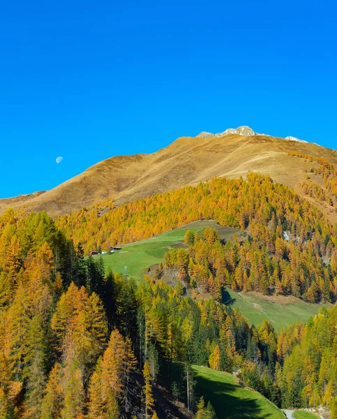 Alpes Austríacos Paisagem Com Floresta Lua Sobre Picos Montanhas — Fotografia de Stock