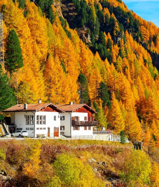 Scenic Alps Landscape Autumn Golden Forest Hotel Houses Mountain Slope — Stockfoto