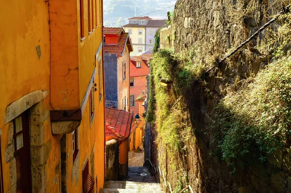 Starówka Wąska Górska Ulica Dół Schodami Architektura Tradycyjna Słońce Porto — Zdjęcie stockowe