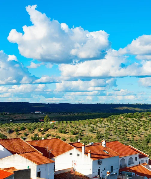 Paisagem Natural Com Vista Para Aldeia Jardins Oliveira Montanhas Nuvens Imagens Royalty-Free