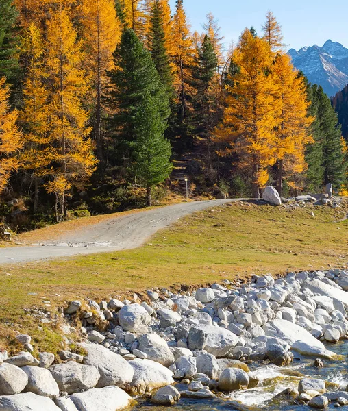 Herfst Berglandschap Met Rivier Besneeuwde Toppen Achtergrond Alpen Italië — Stockfoto