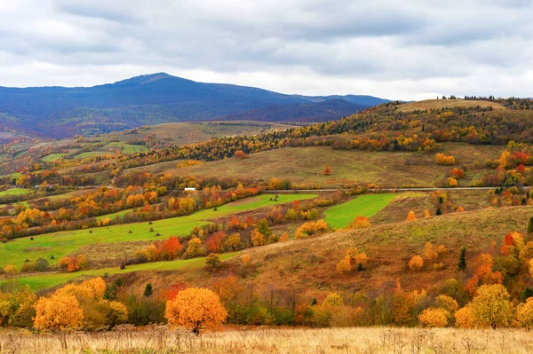 五彩斑斓的风景 树木和田野 背景中的山脉 秋天的风景 喀尔巴阡山脉 乌克兰 — 图库照片