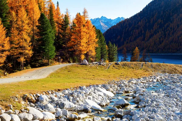 Szenische Herbstliche Berglandschaft Mit Straße Nach Fluss Alpen Hintergrund Herbst Stockfoto