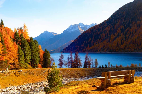 秋のアルプスの風景 山の湖の景色 秋の森 背景のピーク 太陽の日 オーストリア — ストック写真