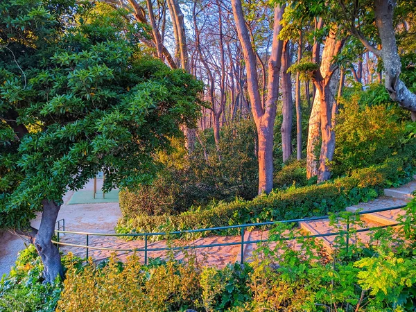 Parque Verde Luz Sol Noite Jardins Palácio Cristal Porto Porto — Fotografia de Stock