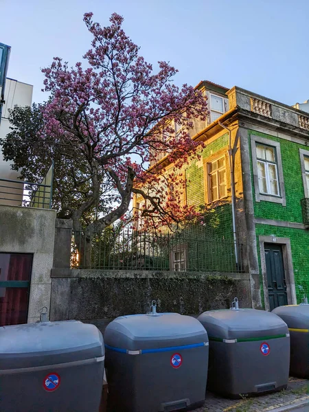 Szemetes Konténerek Portugáliai Porto Utcában — Stock Fotó