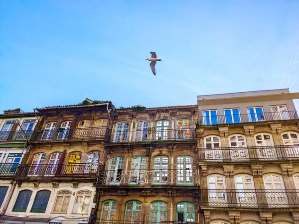 Fiskmåsen Flyger Över Gammal Portugisisk Byggnad Porto Portugal — Stockfoto