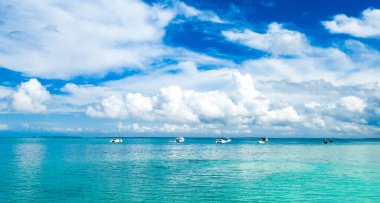 Zanzibar 'da şaşırtıcı kuş bakışı manzara