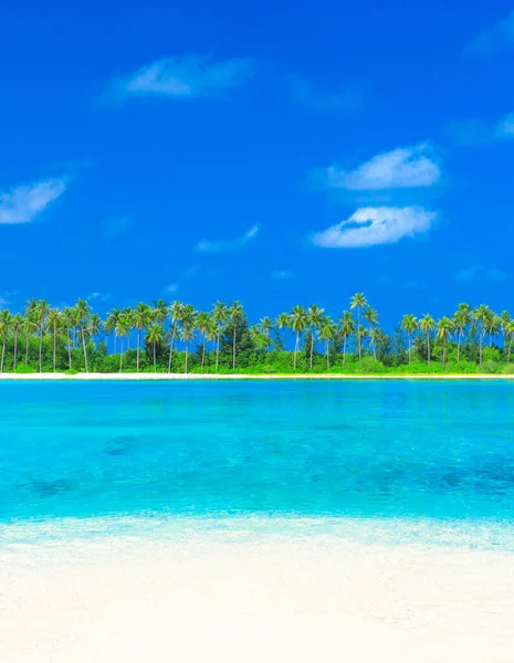 Praia Tropical Maldivas Com Poucas Palmeiras Lagoa Azul — Fotografia de Stock
