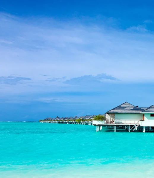 Тропический Пляж Мальдивах Небольшим Количеством Пальм Голубой Лагуной — стоковое фото
