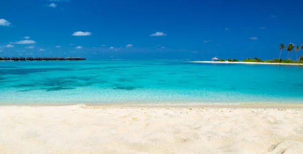 Пляж Карибского Моря Тропический Пейзаж — стоковое фото