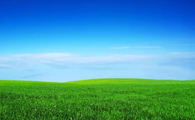 Mavi gökyüzünün arka planında bir alan