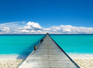 Sahili olan güzel tropik Maldivler adası. 