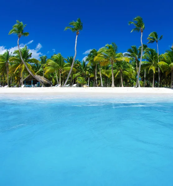 Mar Tropical Céu Azul — Fotografia de Stock