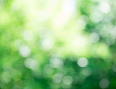 yeşil bokeh arka plan, yeşil bokeh, yeşil bokeh soyut