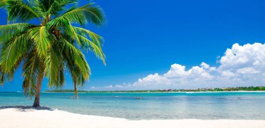 palmiye ağaçları ve mavi lagün ile tropikal plaj