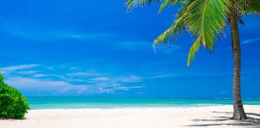 Avuç içi ve tropik plaj