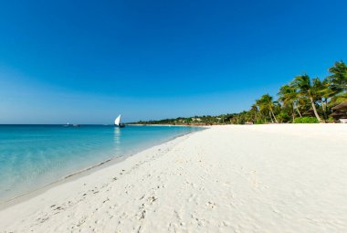 Tropik plaj. Turizm için yaz tatili ve tatil kavramı.