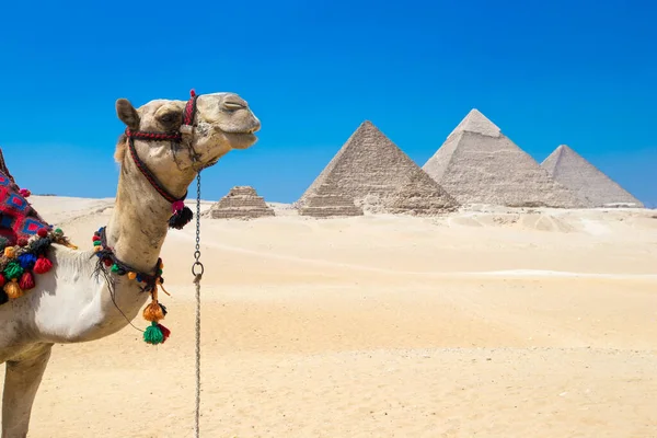 Піраміди Красиві Sky Гіза Каїрі Єгипет — стокове фото
