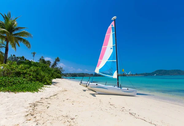 Sand Beach Caribbean Sea Tropical Sea — Foto de Stock