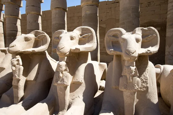 Afrika Egypten Luxor Karnak Templet — Stockfoto
