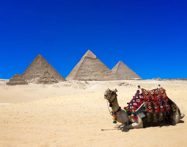 Pyramides Avec Beau Ciel Gizeh Caire Egypte — Photo