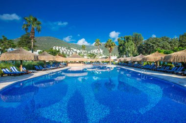 Hindistan cevizi ağacı ve beyaz şemsiyeli yüzme havuzu