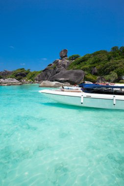 sand of beach caribbean sea. tropical sea