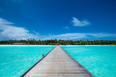  Plaj ve tropikal deniz. plaj manzarası 