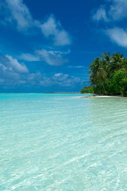  Plaj ve tropikal deniz. plaj manzarası 