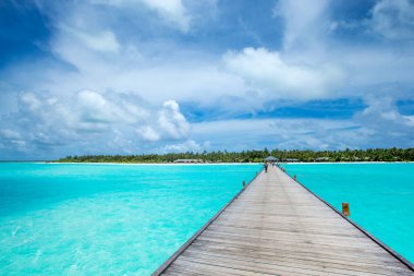 Güzel sahil ve tropikal deniz