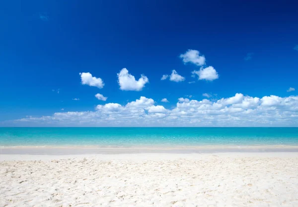 모래사장 바다가 몰디브 — 스톡 사진
